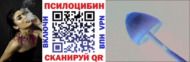 Псилоцибиновые грибы прущие грибы  Купить закладки  Гусиноозёрск 
