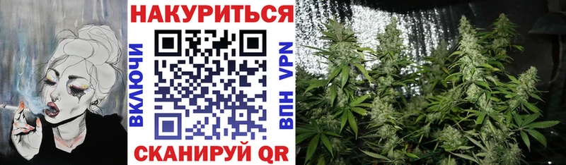 Купить закладки  Гусиноозёрск  Бошки Шишки Ganja 